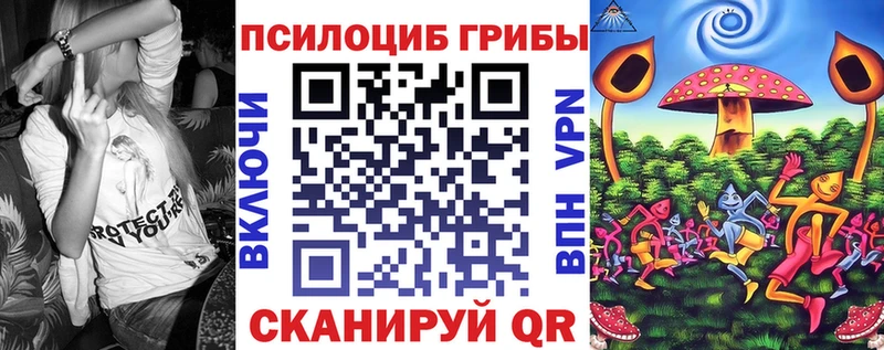 Галлюциногенные грибы MAGIC MUSHROOMS  даркнет сайт  Сясьстрой 